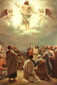 acts 1-11 Jesus-Ascension-into-Heaven
