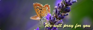 Prayer-We will pray for you