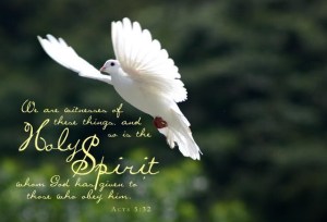 Receive-Holy-Spirit Acts 5-32