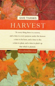 11-22-15 bulletin cover006