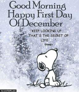 dec 1 - snoopy